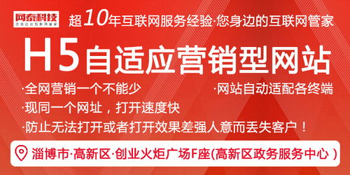 博兴网站建设与技术服务——淄博网泰科技的专业之道
